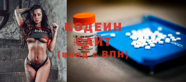 ПСИЛОЦИБИНОВЫЕ ГРИБЫ Вяземский