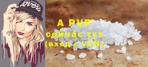 ПСИЛОЦИБИНОВЫЕ ГРИБЫ Вяземский