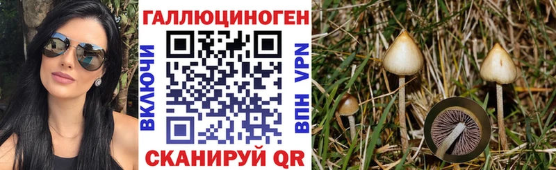 OMG зеркало Щёлково Галлюциногенные грибы мицелий